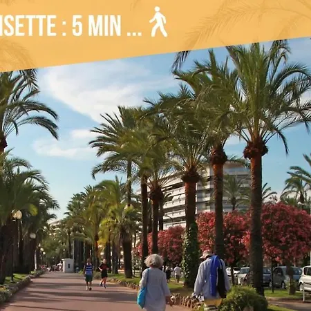 Luxury Studio -modern And Causy - Croisette Cannes